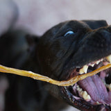 Litto Howler Dehydrated Grass-Fed Beef Tendon Sticks