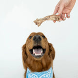 Winnie Lou Bison Tendon Chews