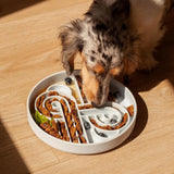 Ollie B. Good Zoomies Slow Feeder Bowl