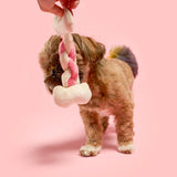 The FurryFolks Bone Appétit Nosework Toy