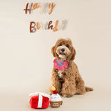 CHEWFFON Interactive Cupcake Birthday Dog Toy