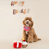 CHEWFFON Gift Box Crinkle, Squeak & Treat Puzzle Dog Toy