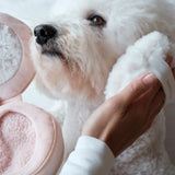 Lambwolf Collective Blush Burrow & Snuffle Toy