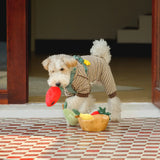 CHEWFFON Fruit Plush Squeaky Dog Toy Set