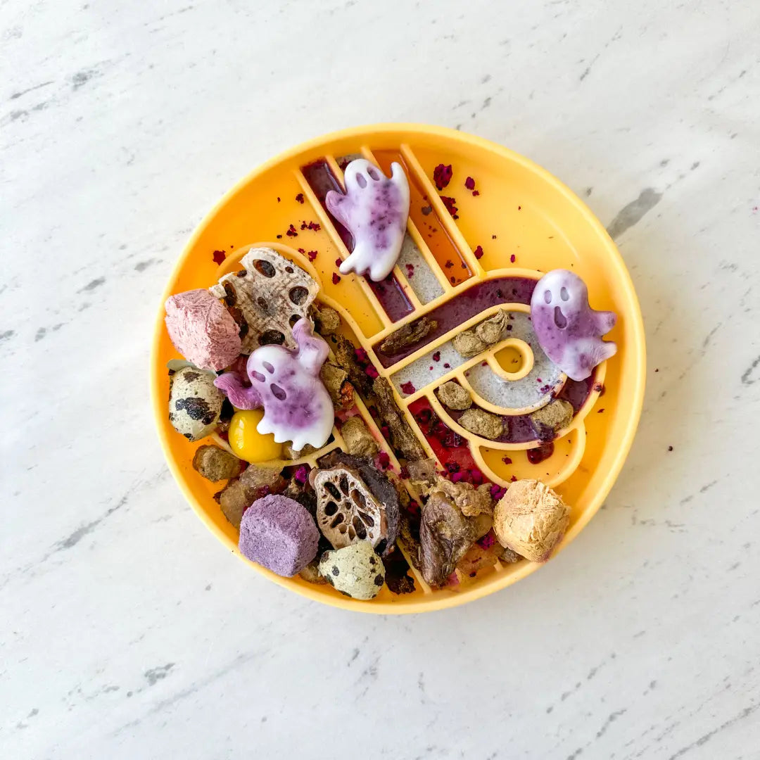 Ollie B. Good Zoomies Slow Feeder Bowl