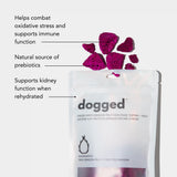dogged Freeze Dried Dragon Fruit Topper (Preorder ships 8/6)
