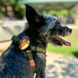 Sup Dog Jiby Dog Charm