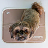 Green Pet Cool Pet Pad