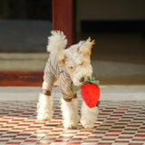 CHEWFFON Fruit Plush Squeaky Dog Toy Set