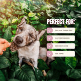 Ryōken Instinct Everyday Minis Training Treats - Lamb
