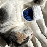Smalls Fish in Dish Catnip Filled Cat Toy