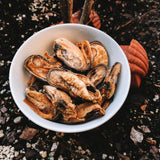 Wild N Fresh Treats Dehydrated Green Lipped Mussels (NZ)