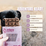 Ryoken Instinct Adventure Ready Bar Bundle