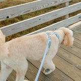 Shop Sunny Tails Cloud Lite Dog Harness