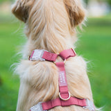 Shop Sunny Tails Cloud Lite Dog Harness