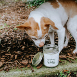 Holisticanine Organic Kelp