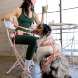 Shop Sunny Tails 4-in-1 Convertible Hands Free Cloud Dog Leash
