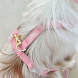 Shop Sunny Tails Cloud Lite Dog Harness