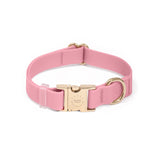 Shop Sunny Tails Waterproof Dog Collar