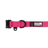 Litto Howler Collar 1 inch