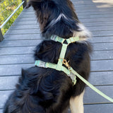 Shop Sunny Tails Cloud Lite Dog Harness