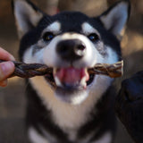 Litto Howler Dehydrated Braided Pig Pizzle Chew