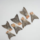 Amica Science Freeze-Dried Wild Salmon Tails