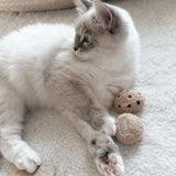 Kitty Tea Time Catnip Cat Toy