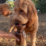 Springland Pets Dog Travel Water Bottle - Flip 20 oz