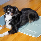 Green Pet Cool Pet Pad